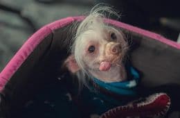 Кадр из фильма